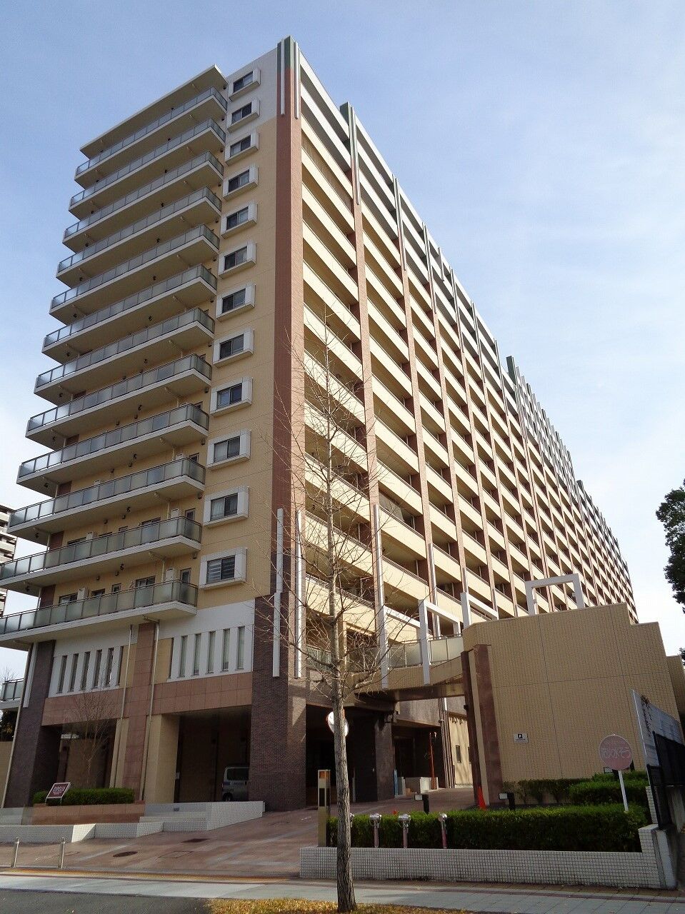 DSC00152 (2)