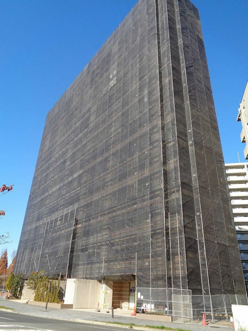 DSC00117 (2)