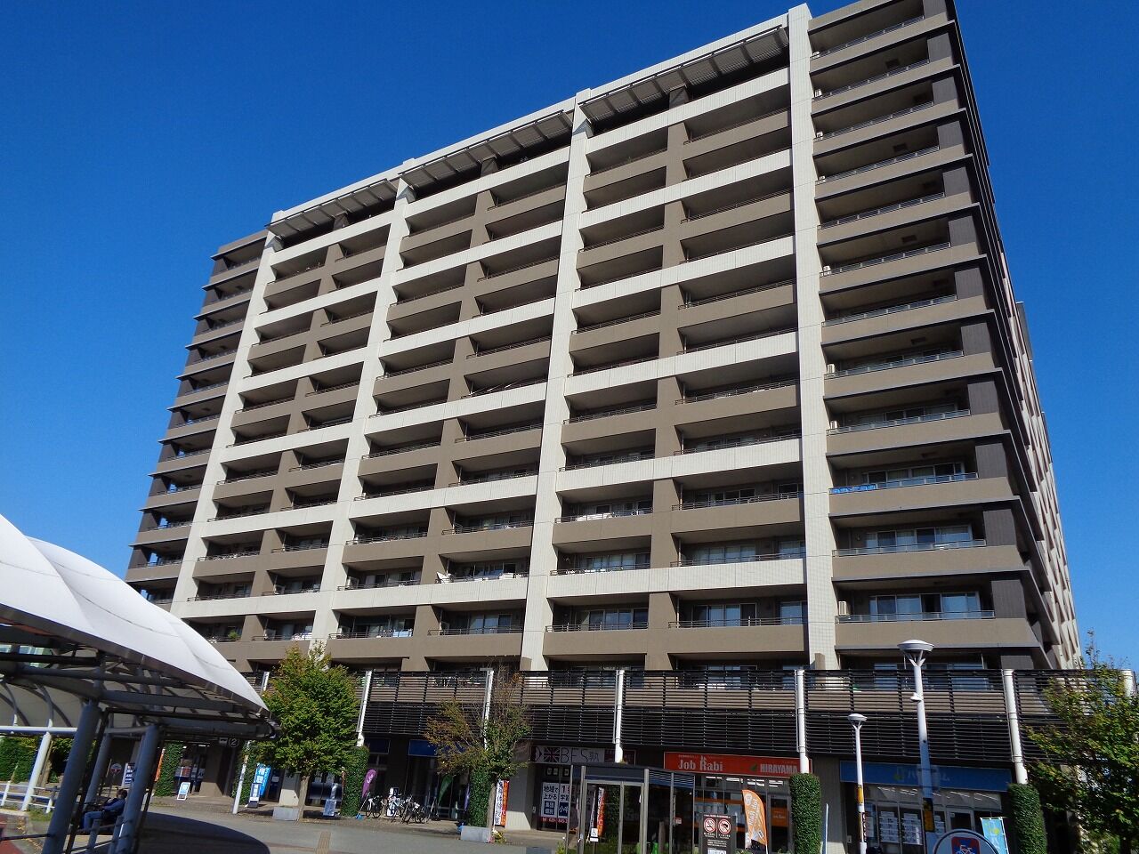 サーパス